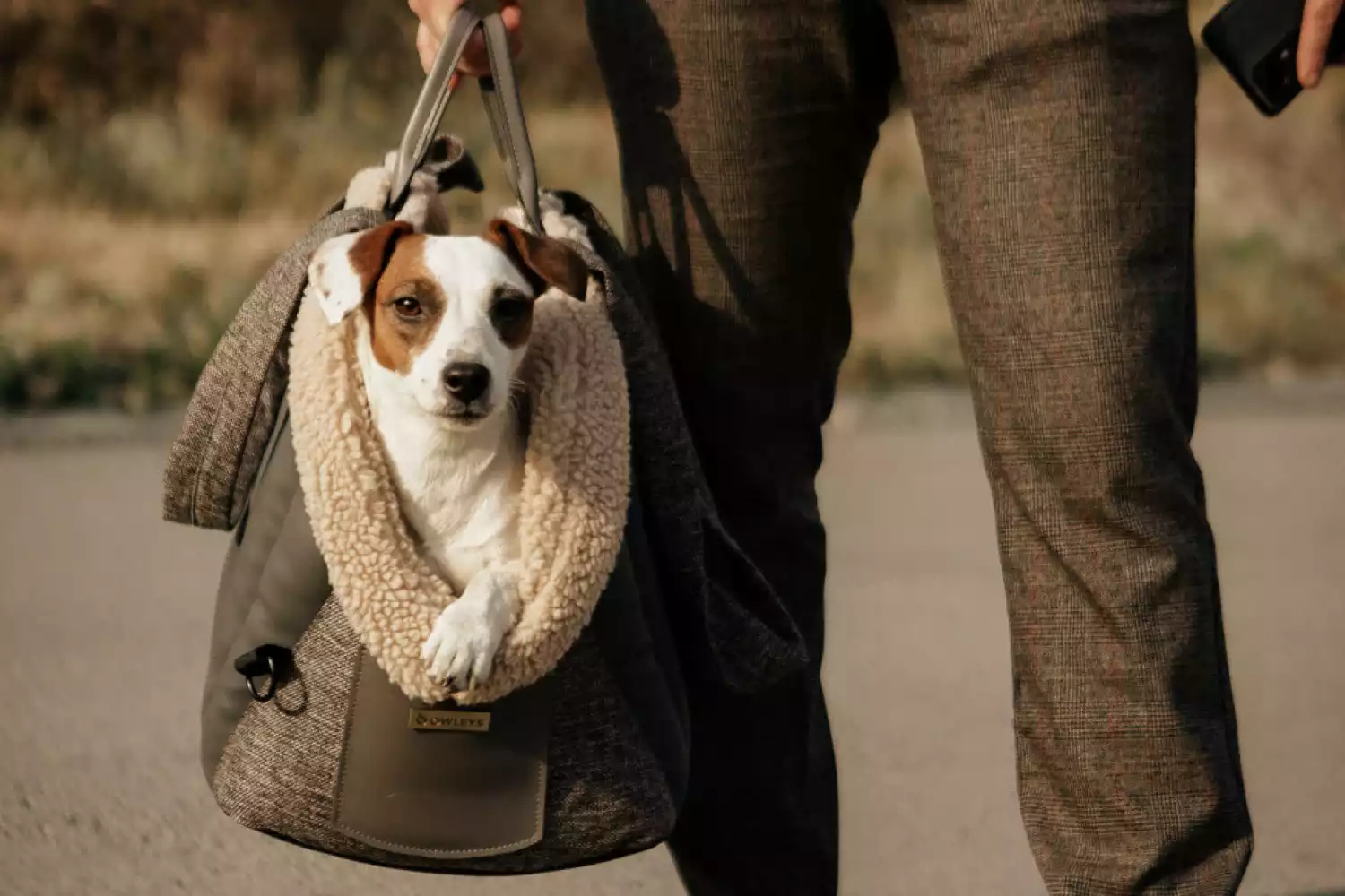 Dog Carrier Purse for Pekingese