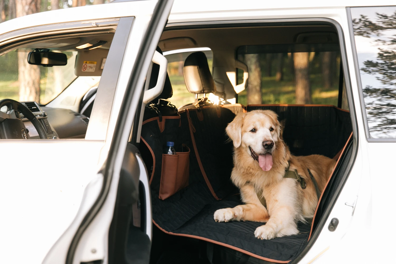 Ford Explorer back seat cover for Pembroke Welsh Corgis