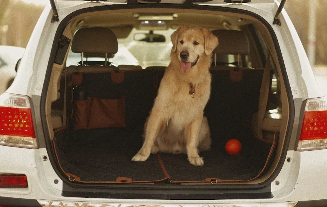 dog back seat cover for Acura RDX