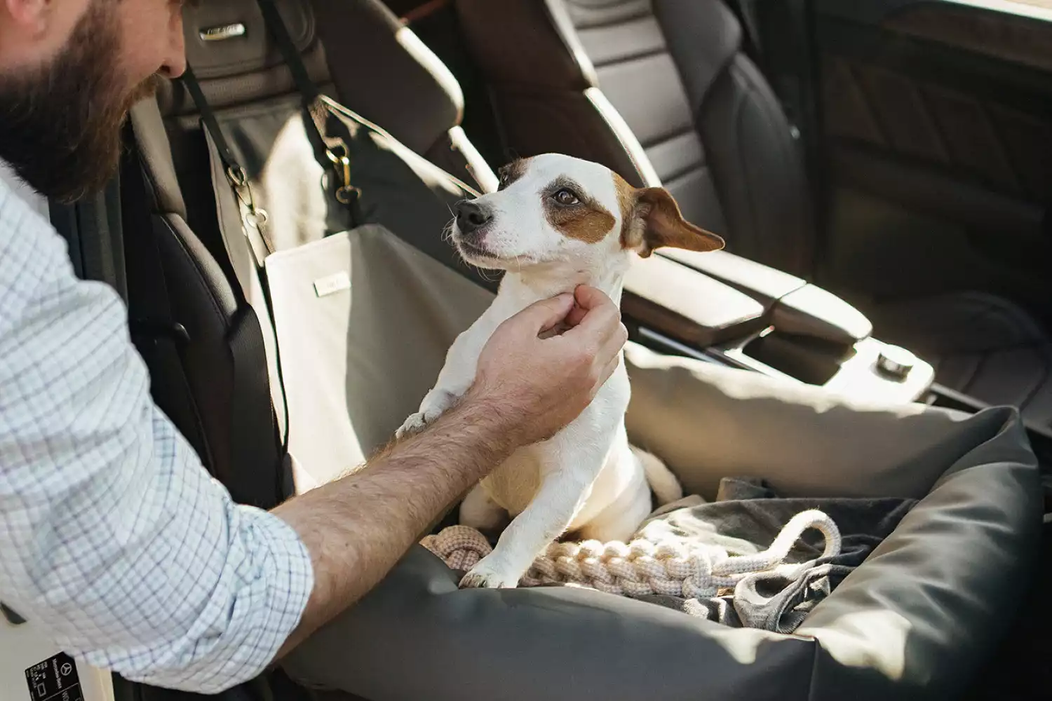 Chevrolet Tahoe Dog Car Seat for French Bulldogs