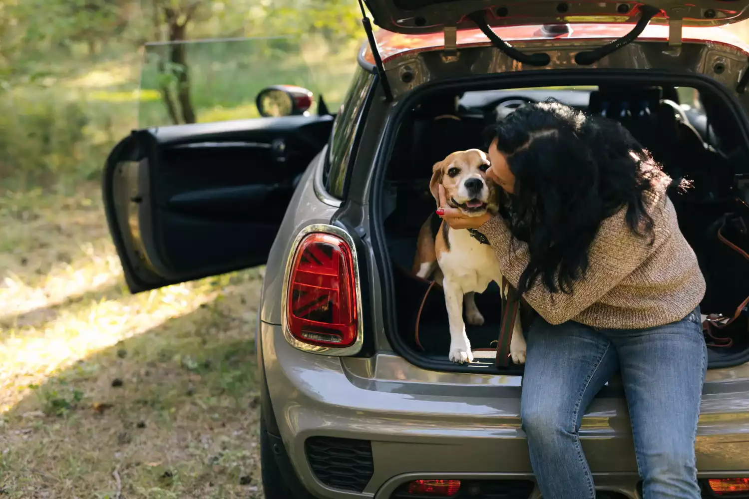 dog back seat cover for Lexus NX