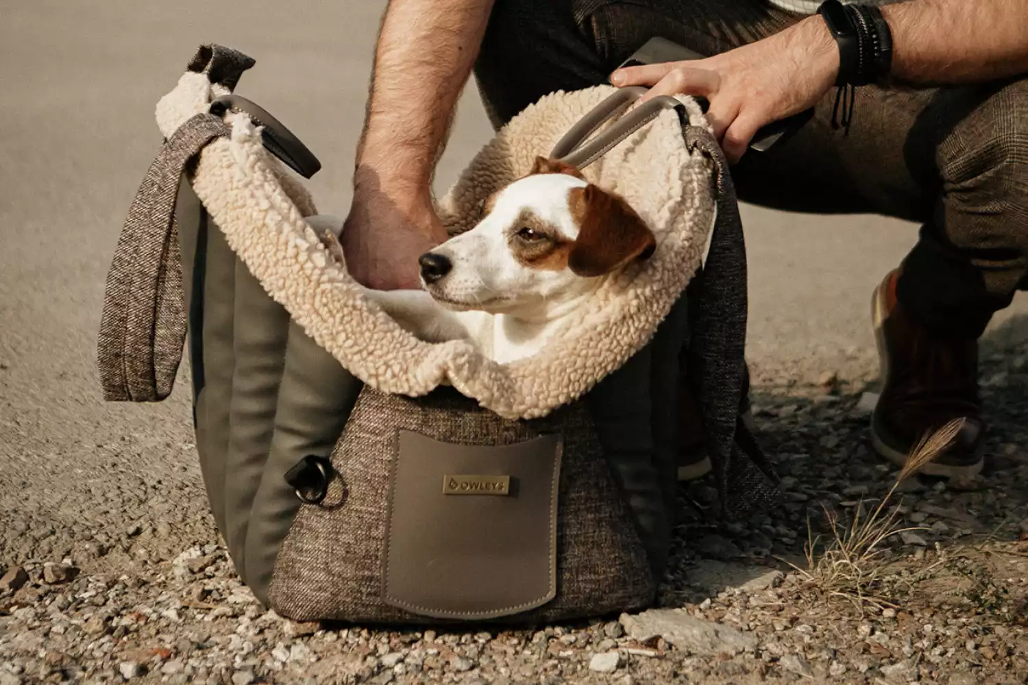 Dog Carrier Purse for Prazsky Krysarik