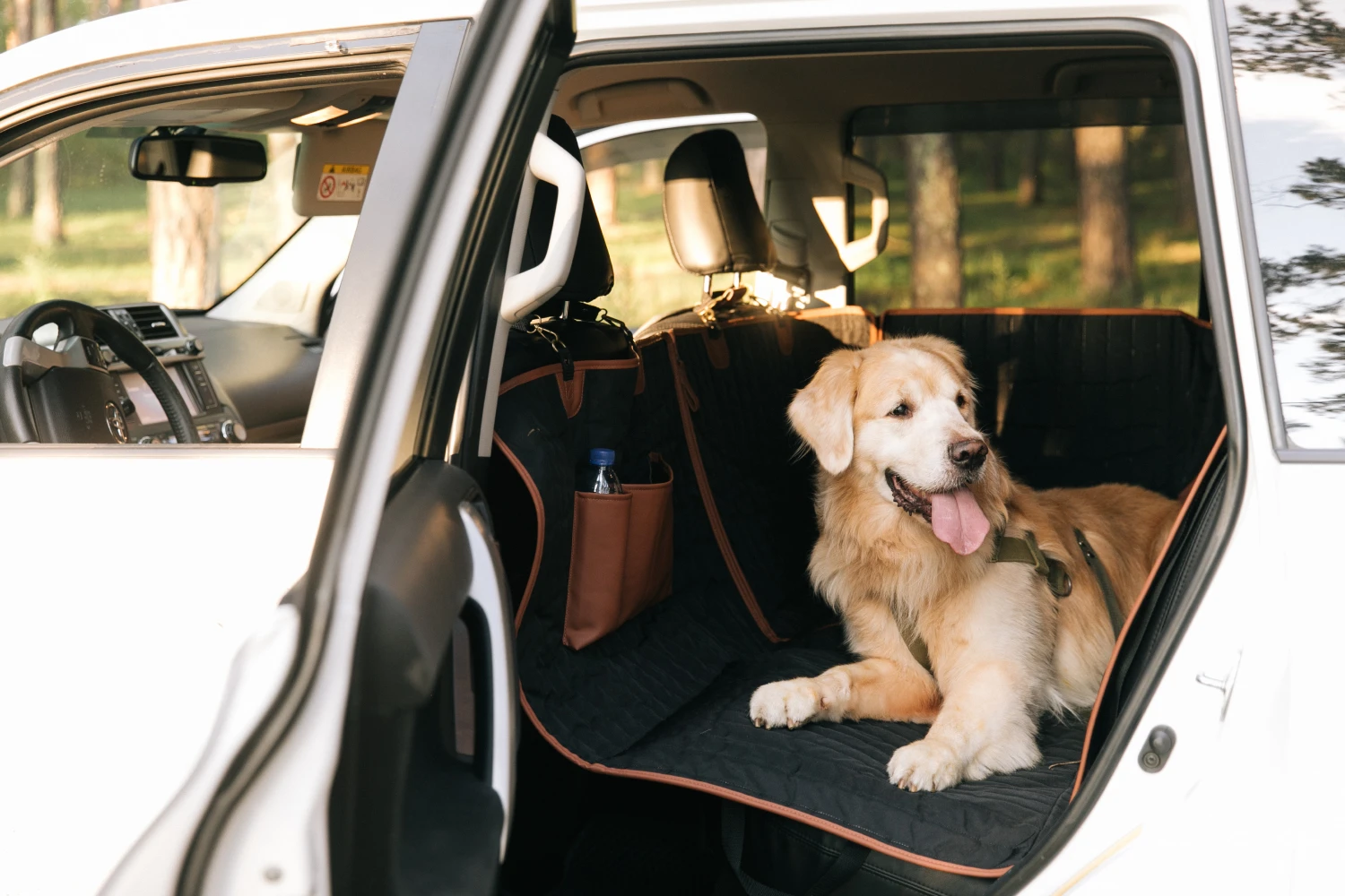 Dachshunds back seat cover for Toyota Camry