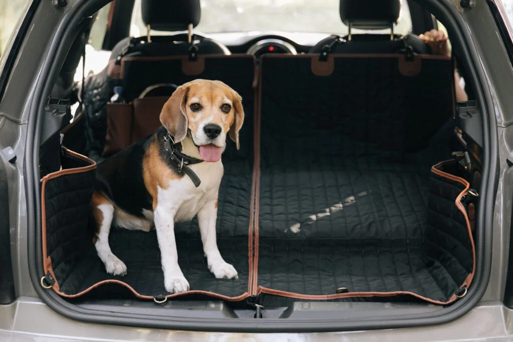 dog back seat cover for Lexus NX