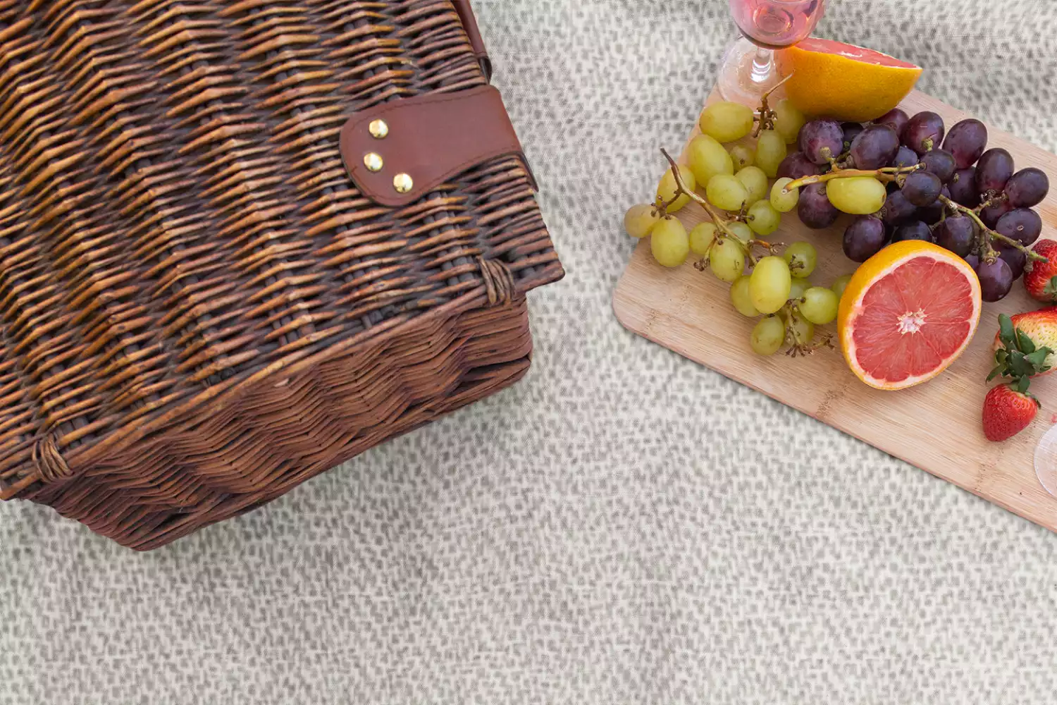 best large picnic blanket