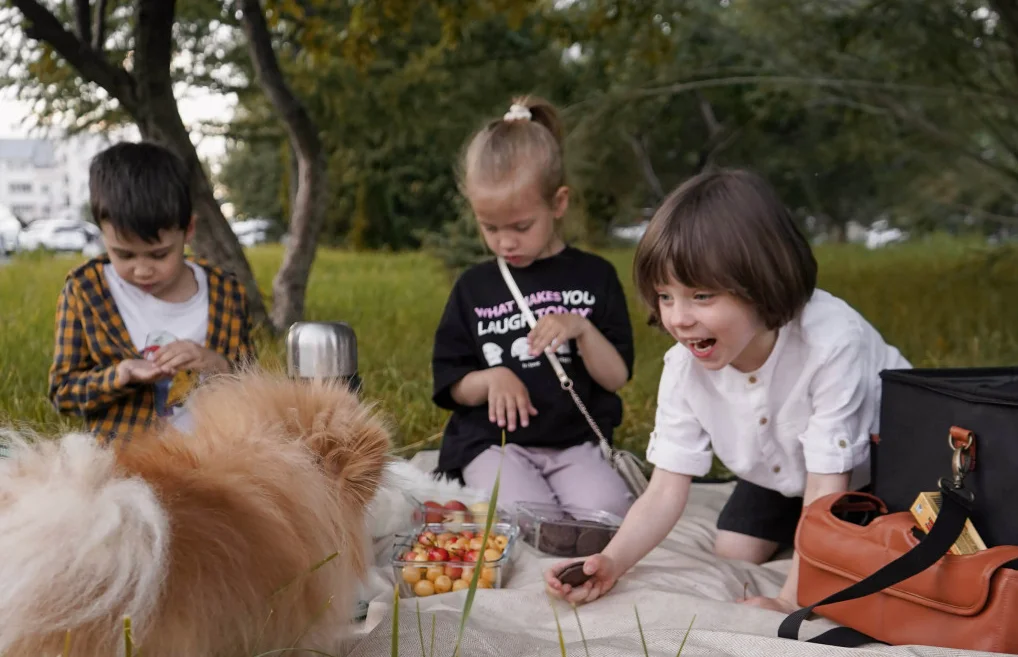 most comfortable picnic blanket